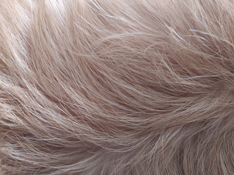 white dog hair
