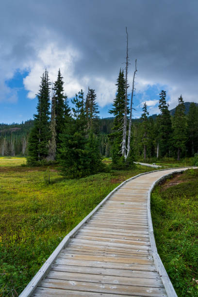 Paradise Meadows Mount Washington Stathcona Park stock photo