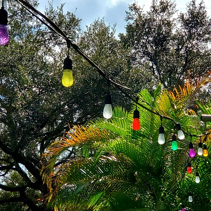 String of party lights glowing in daytime sunlight with Palm trees and Live Oak trees in the background