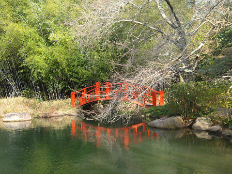 Red arching bridge in Japanese garden section of the Botanical Gardens in Birmingham, Alabama