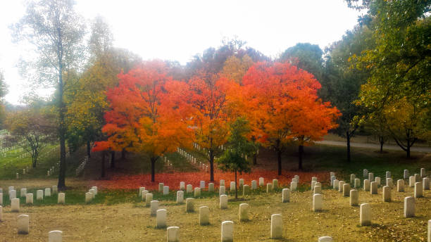 color de otoño en arlington - cemetery grave military beauty in nature fotografías e imágenes de stock