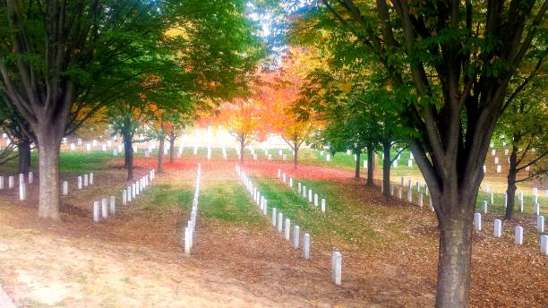 istock Arlington National Cemetery in November 1417771264