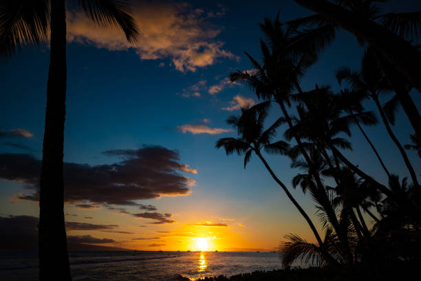 istock Colorful Maui Sunset with palm trees. 1417777210