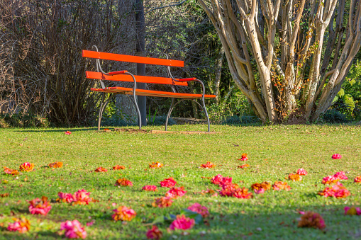 Take a seat and relax, bench in Public park in Gramado, Southern Brazil at peaceful sunrise