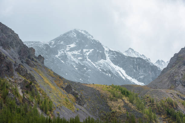 istock High mossy mountains with trees against large snowy mountain top with sharp rocks in rainy low clouds. Dramatic view to forest mountainside and snow mountains in gray cloudy sky in changeable weather. 1417780971