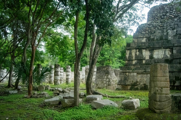istock mayan pyramids in mexico, stone construction, surrounded by vegetation, deep jungle 1417781105