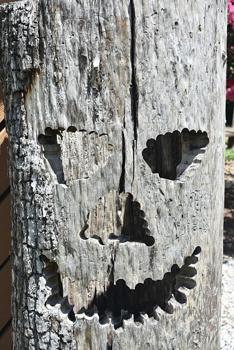 Heart carving on the bark of a sequoia tree in sequoia national forest, California.