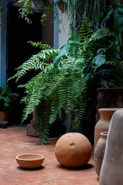 Photo of Stacks of various terracotta pots for plants for sale at a garden store.