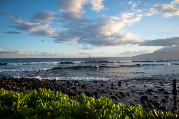 istock Sailboat in the distance at Sunset 1417785666