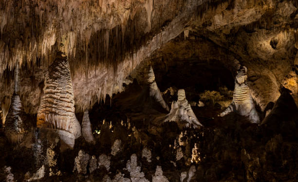 halle der riesen in big room, carlsbad caverns national park, new mexico, usa - accent wall stock-fotos und bilder