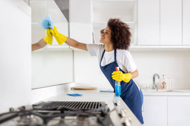istock Professional cleaner cleaning a mirror in the kitchen 1417833175
