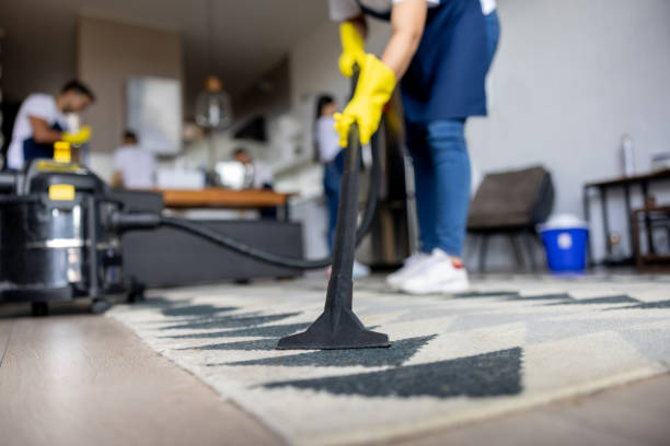Professional cleaner vacuuming a carpet stock photo