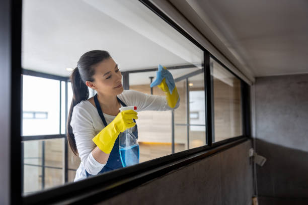 istock Professional cleaner cleaning a glass window at an apartment 1417833213