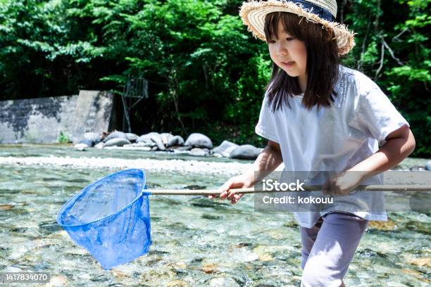 網で小川で魚を捕まえる可愛い少女