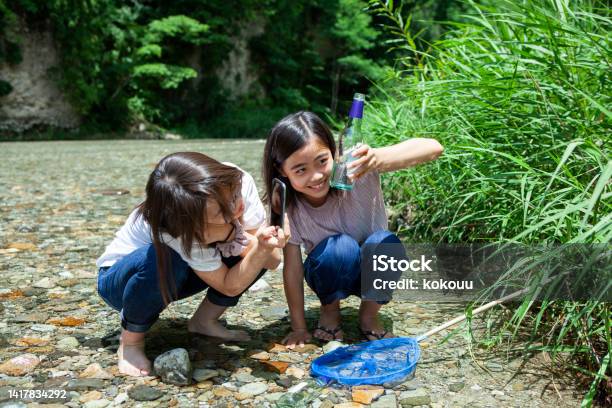 川沿いで瓶に入ったオタマジャクシの写真を撮る少女たち