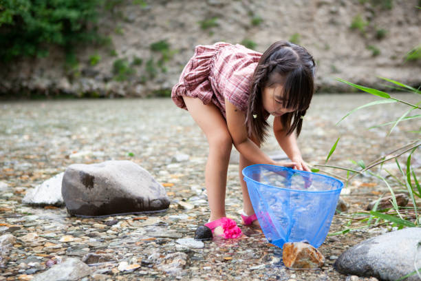 istock A cute little girl catching fish in a stream with a net 1417834702