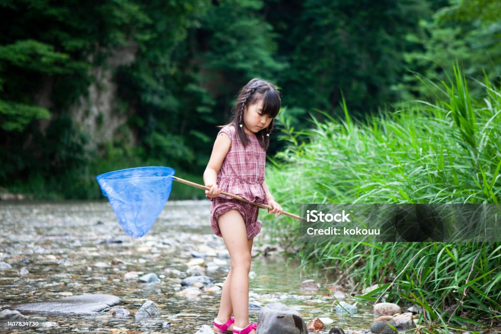 A cute little girl catching fish in a stream with a net Solo Adventure 6-7 Years Stock Photo