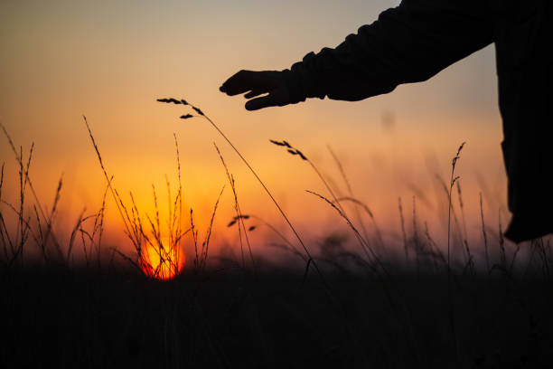 istock A man's hand touching grass at sunset. Caring for the environment. The ecology the concept of saving the world and love nature by human 1417838682