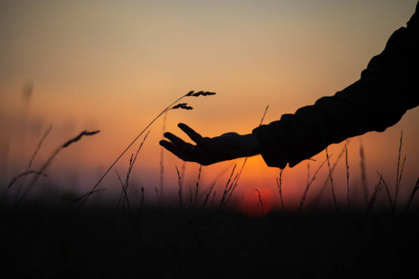 istock A man's hand touching grass at sunset. Caring for the environment. The ecology the concept of saving the world and love nature by human 1417838691