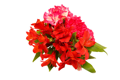 Bouquet of carnation and alstroemeria isolated on a white background.
