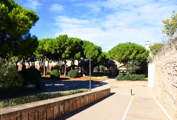 istock Green trees in City park. 1417850343