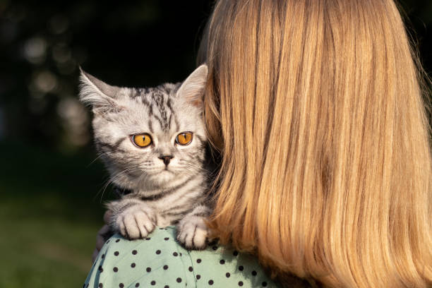 istock Girl walks in the park with a cat. 1417851420