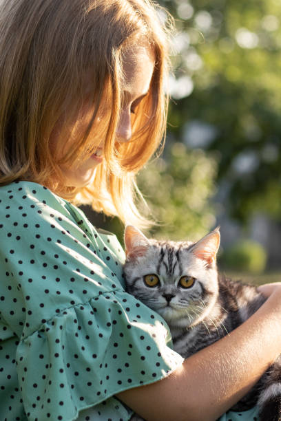 istock Cat being embraced by its owner. 1417851964