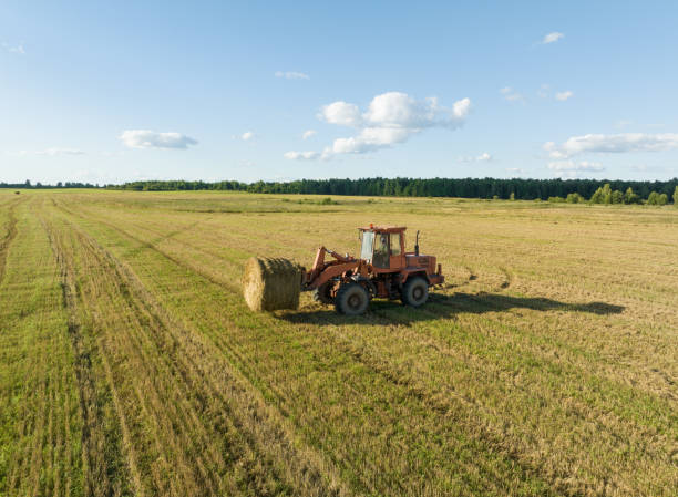 Hay Making. Front end loader loads round bales of straw from Hay Trailer.