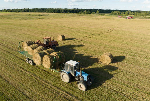 istock Hay Making. Front end loader loads round bales of straw from Hay Trailer. 1417853075
