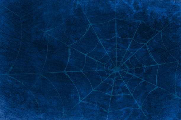 bildbanksillustrationer, clip art samt tecknat material och ikoner med foggy horror midnight view, of blank spooky dark blue sky with spider web or cobweb - halloween