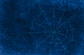 istock Foggy horror midnight view, of blank spooky dark blue sky with spider web or cobweb 1417855116