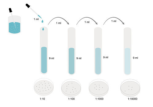 La Diluizione Seriale Di Dieci Volte Della Sospensione Di Patogeni In