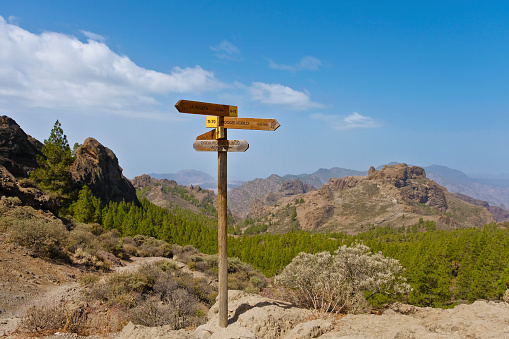 Hike to the famous rock formation of Roque Nublo. This natural wonder is one of the highlights of the island.