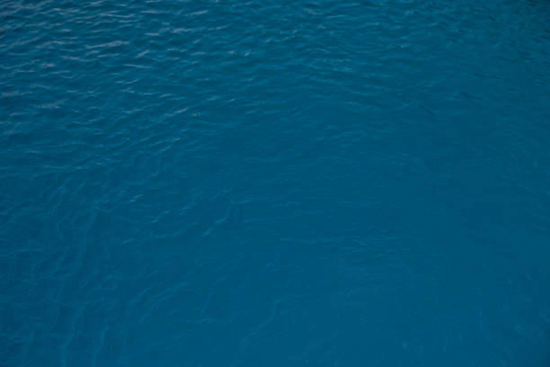 istock Blue and bright water surface with sun refection in swimming pool for background 1417862563