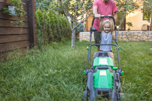 istock Helping grandfather to cut the grass 1417864600