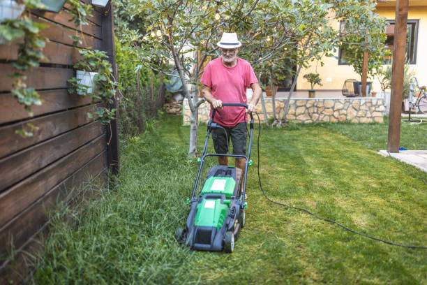 istock Senior man working in the garden 1417864652