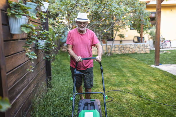 istock Senior man working in the garden 1417865287
