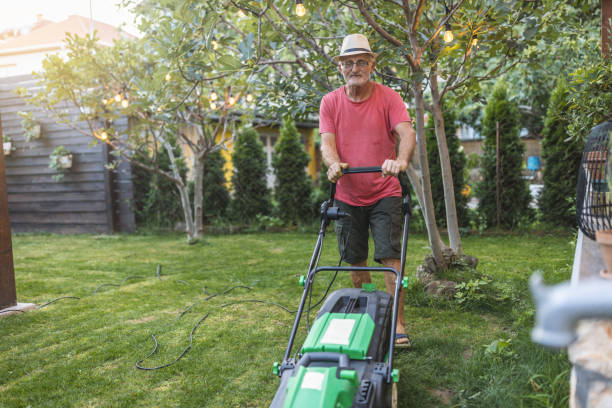 istock Senior man working in the garden 1417865338