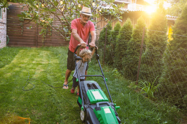 istock Working at backyard with my Grandpa 1417865380
