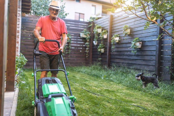 istock Senior man working in the garden 1417865652