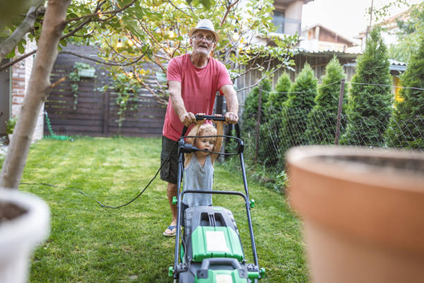 istock Grandfather and grandson mowing grass together 1417865704