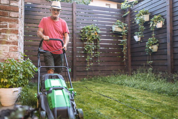 istock Senior man working in the garden 1417865753