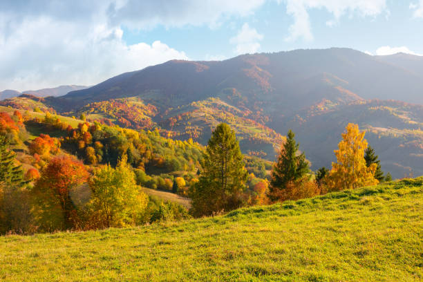 istock beautiful autumn mountain landscape in afternoon 1417866081