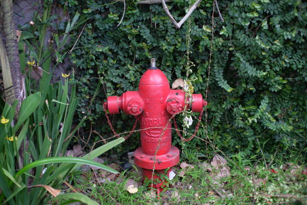 istock Hydrants placed to anticipate fire emergencies 1417867494