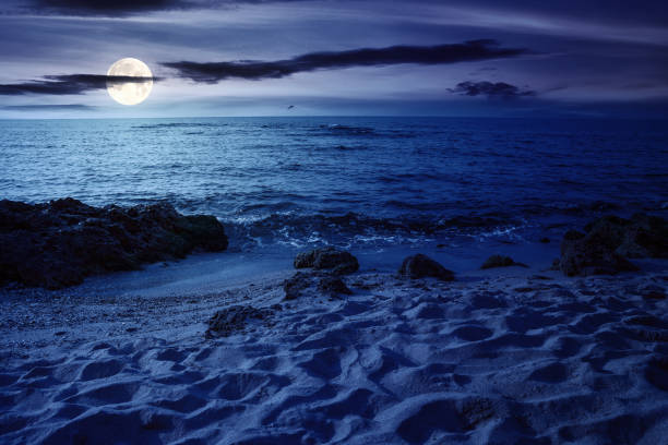 night scenery at the sea stock photo
