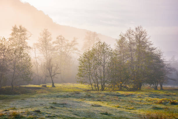 istock carpathian countryside on a misty autumn morning 1417867653
