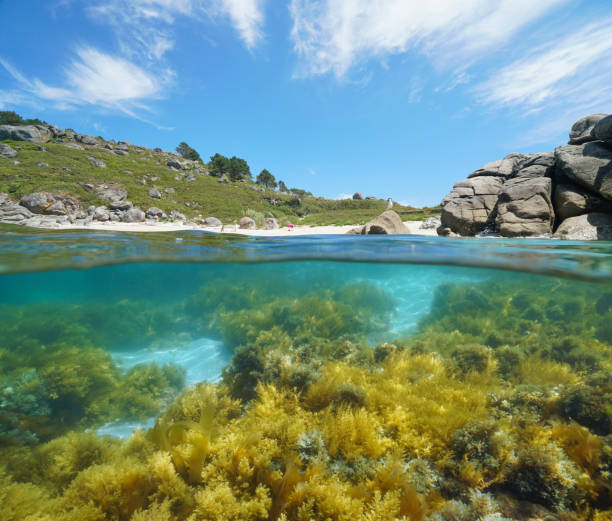 istock Spain Galicia coastline with sandy beach and rock split level view 1417868026