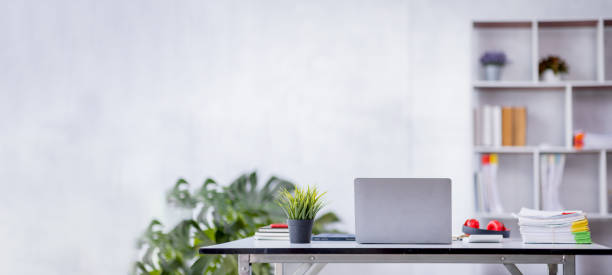 Free Stock Photo of Modern workspace with laptop, plant, and mouse ...