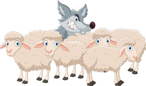 мультяшный волк с овечьим стадом - lamb animal farm cute stock illustrations