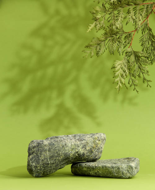 istock Stone podium with pine tree. Branch, shadow, stone, green background. Display for cosmetic. 1417873948